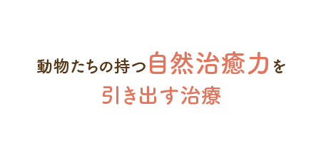 動物たちの持つ自然治癒力を引き出す治療 